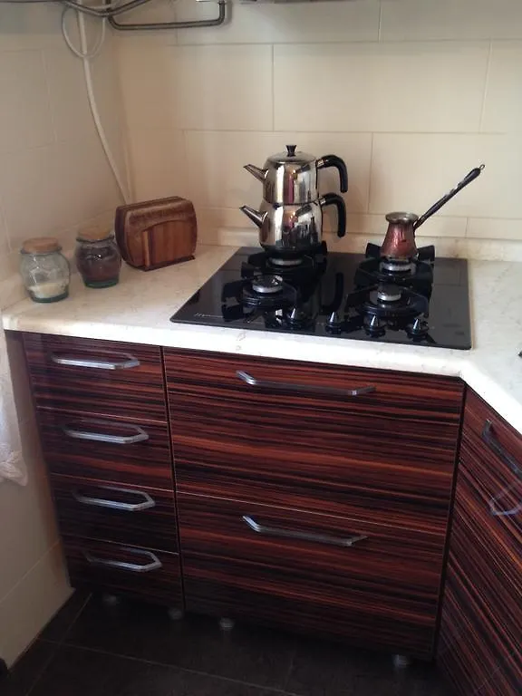 Cheap And Chic Apartment Batumi 0*,